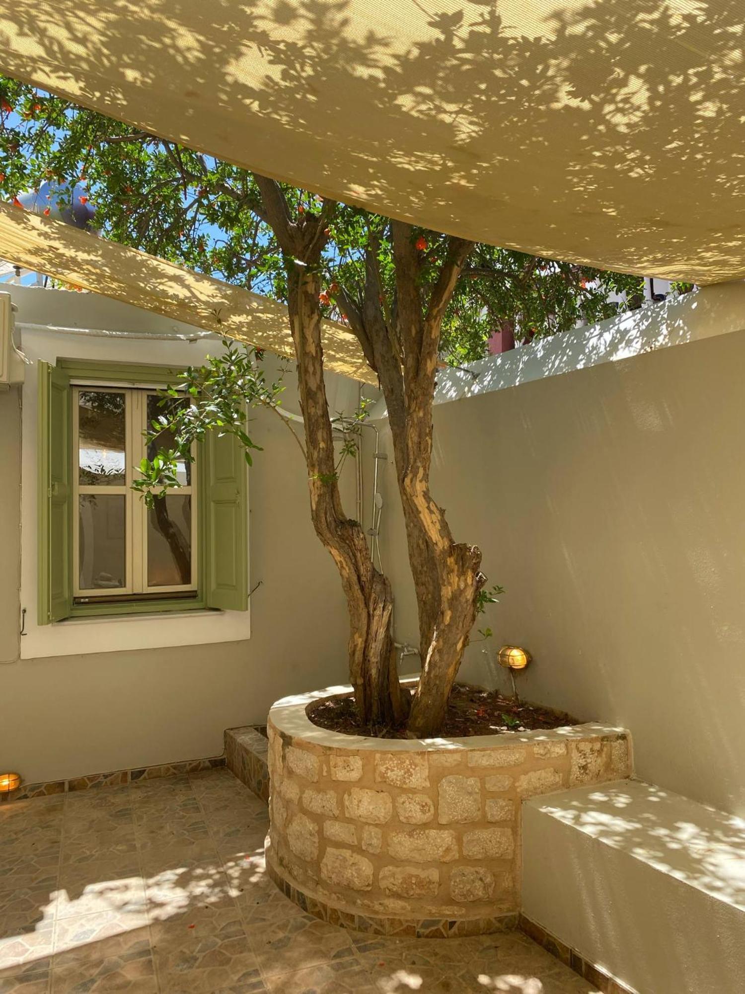 Villa Theoni Chalki Town Eksteriør bilde